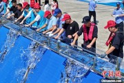 摇卦问事2025年全国水生生物同步增殖放流活动在福建举行